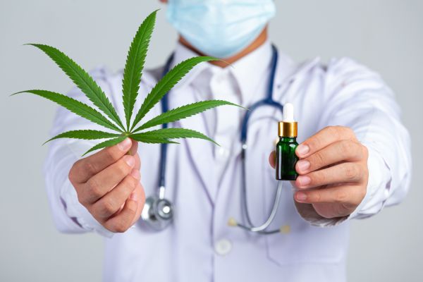 Pourquoi opter pour les fleurs de CBD bio pour votre bien-être ?